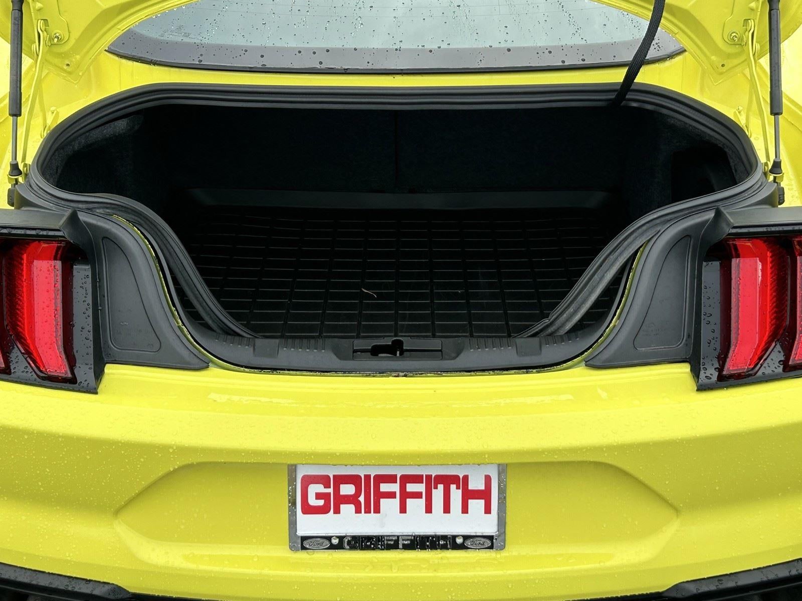 2021 Ford Mustang Mach 1