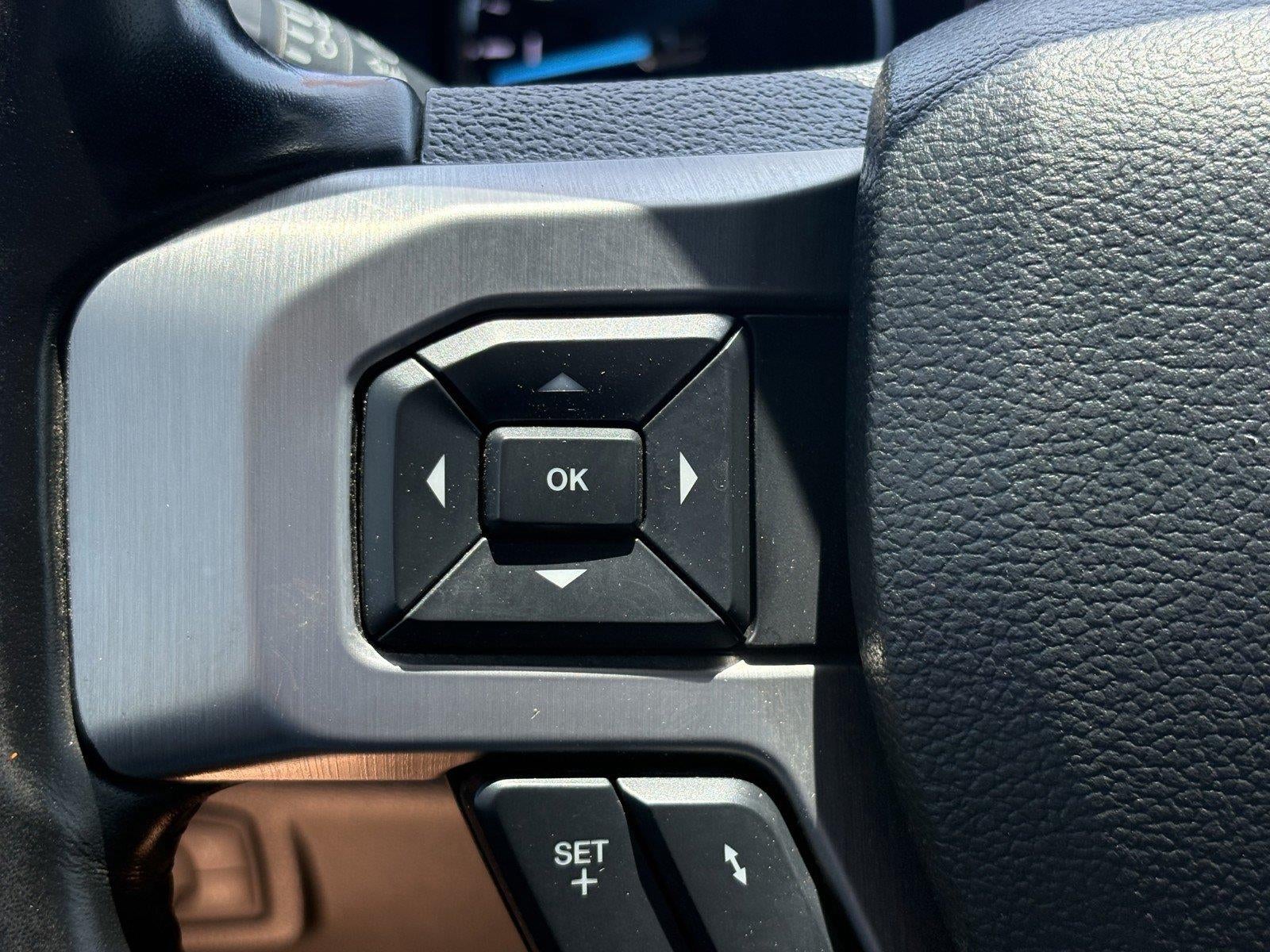 2019 Ford Super Duty F-250 Srw Platinum