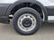 2020 Ford Transit Cargo Van T-250 130 Low Rf 9070 GVWR RWD