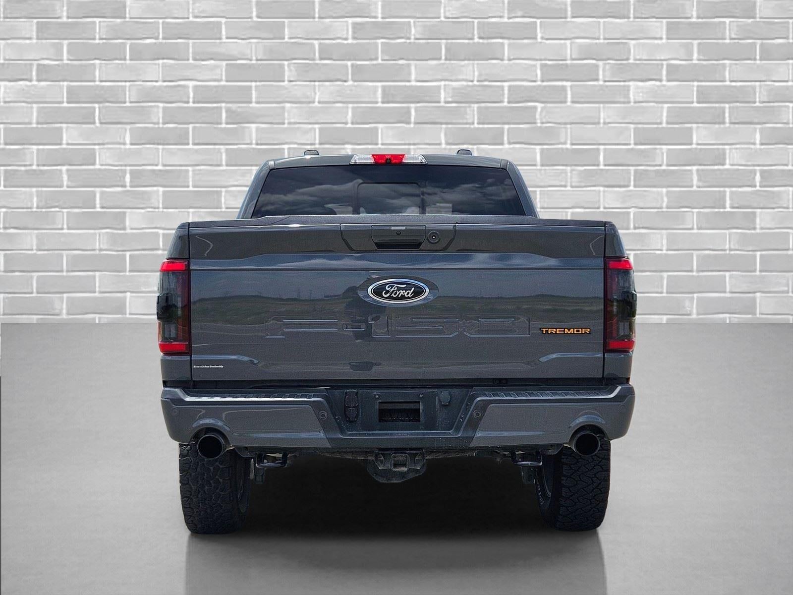 2021 Ford F-150 Tremor